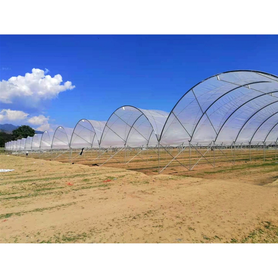 Strawberry Greenhouse