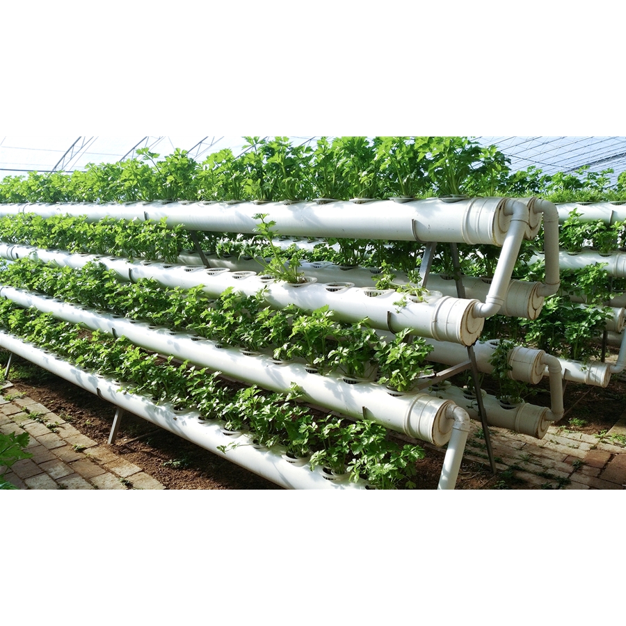 Hydroponics system