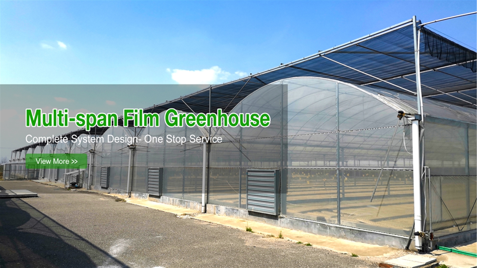 Multi-span Film Greenhouse